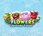 Flowers Christmas Edition